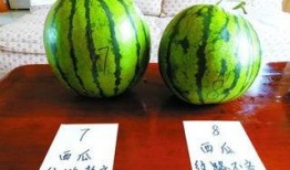 体育圈是干净的吗 吃瓜网51官网版,干净与否，吃瓜网51官网版带你一探究竟